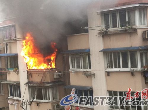 【太阳成官网】欧洲榉木行情平稳,价格无明显变化(图2) 太阳集团tyc