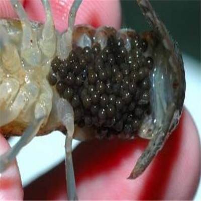 太阳成集团tyc_女人靠“养”不靠“妆”,坚持养成这8个习惯,做好了精致又耐看(图3) 太阳成官网