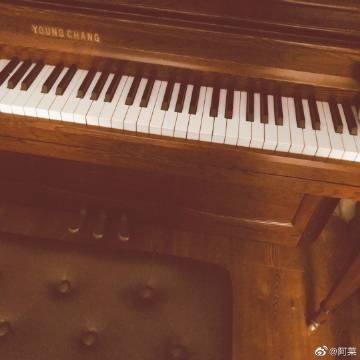 2013年人造板饰面专用原纸增长17.38%‘太阳集团tyc’(图2) 太阳成官网