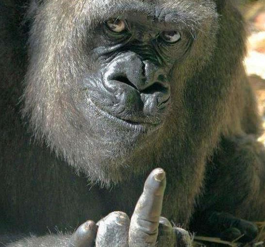 《魔兽世界怀旧服》针锋相对任务攻略 针锋相对任务怎么做_太阳成官网(图3) 太阳成官网