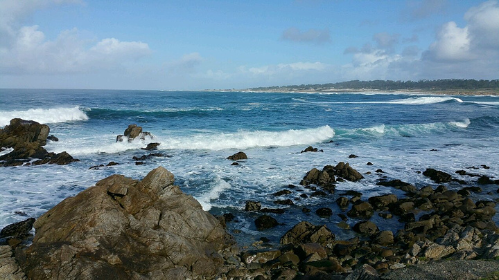 Kanavi恢复自由身 未来签约将无需转会费|太阳成集团tyc(图3) 太阳集团tyc