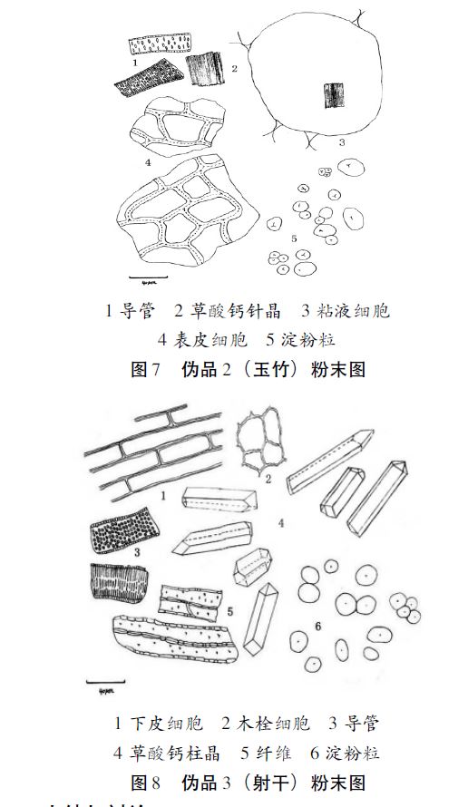 十年逐梦今朝圆!2019GTL技嘉高校电子竞技联赛总决赛开赛在即|太阳成集团tyc(图3) 太阳成集团tyc