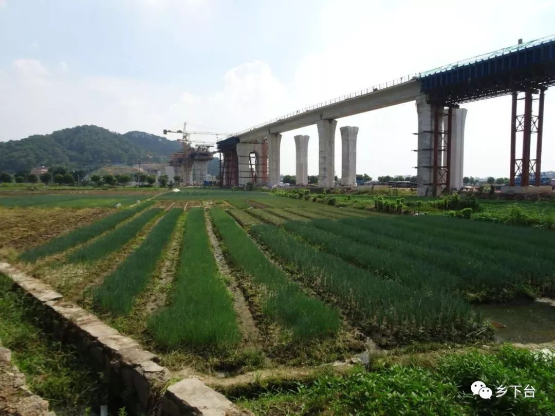 招新啦!《街头篮球》FSPL小记者招募|太阳集团tyc(图3) 太阳成官网