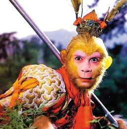 尼海关解释木材出口政策“太阳成官网”(图3) 太阳成官网