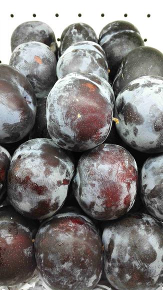 尼海关解释木材出口政策“太阳成官网”(图2) 太阳成官网